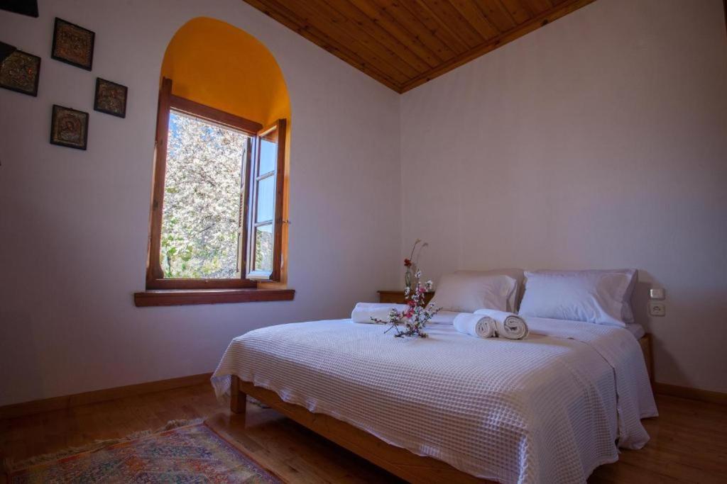 Eremia Rustic House - Entire Villa In Pelion Makrinítsa Екстериор снимка