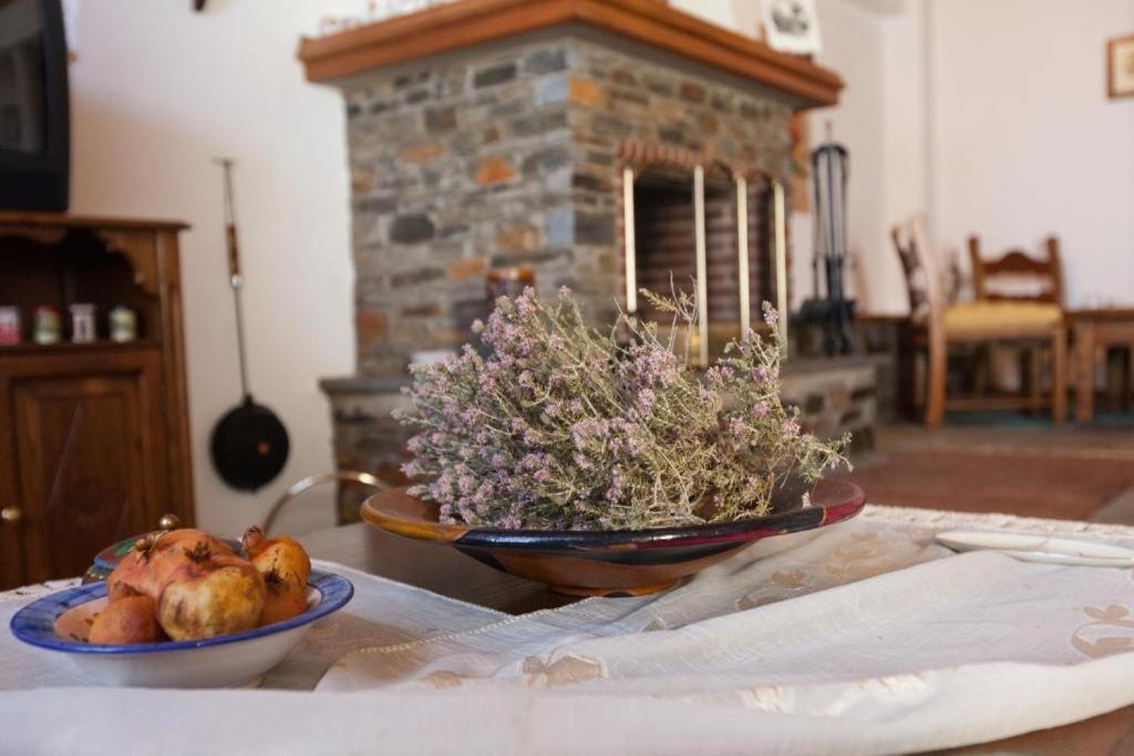 Eremia Rustic House - Entire Villa In Pelion Makrinítsa Екстериор снимка