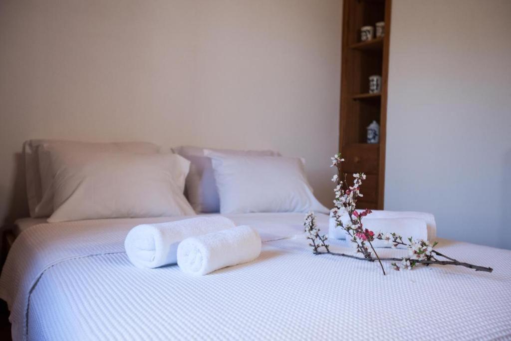Eremia Rustic House - Entire Villa In Pelion Makrinítsa Екстериор снимка